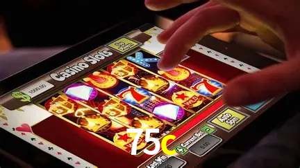 Sistemas de Segurança 75c